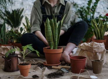 ECO Garden Services